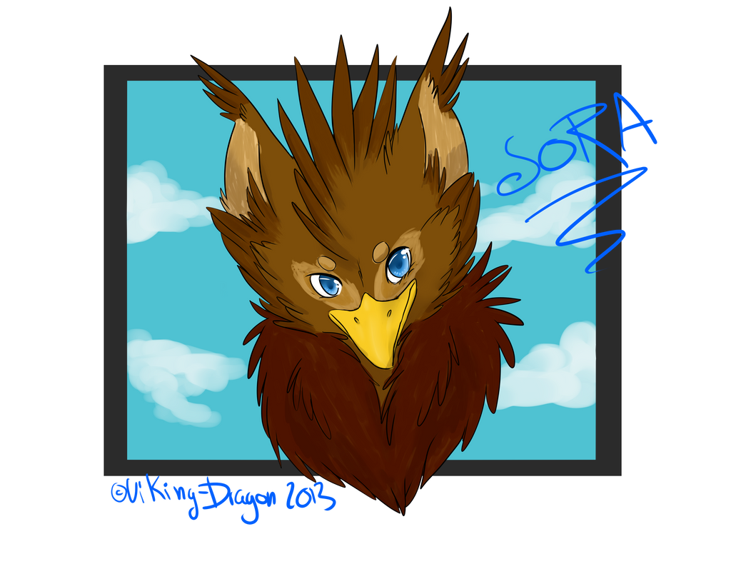 Sora Gryphon Headshot