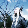 Thranduil