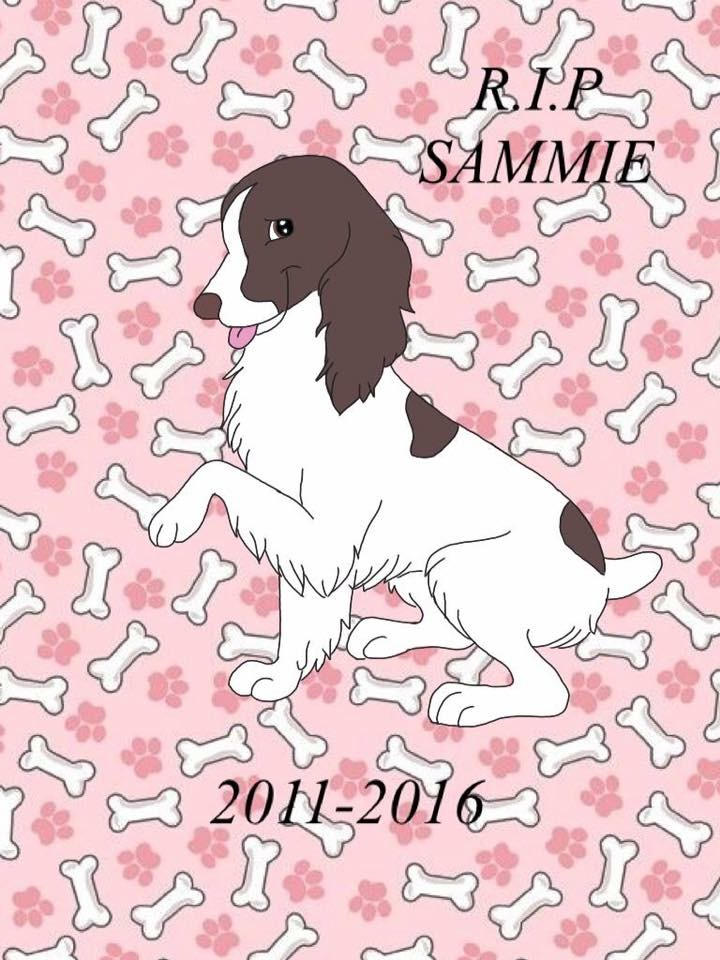 Rip Sketch by EliteGamerz101 on DeviantArt