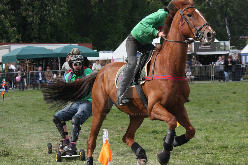 IMG_6523 - Horse Boarding