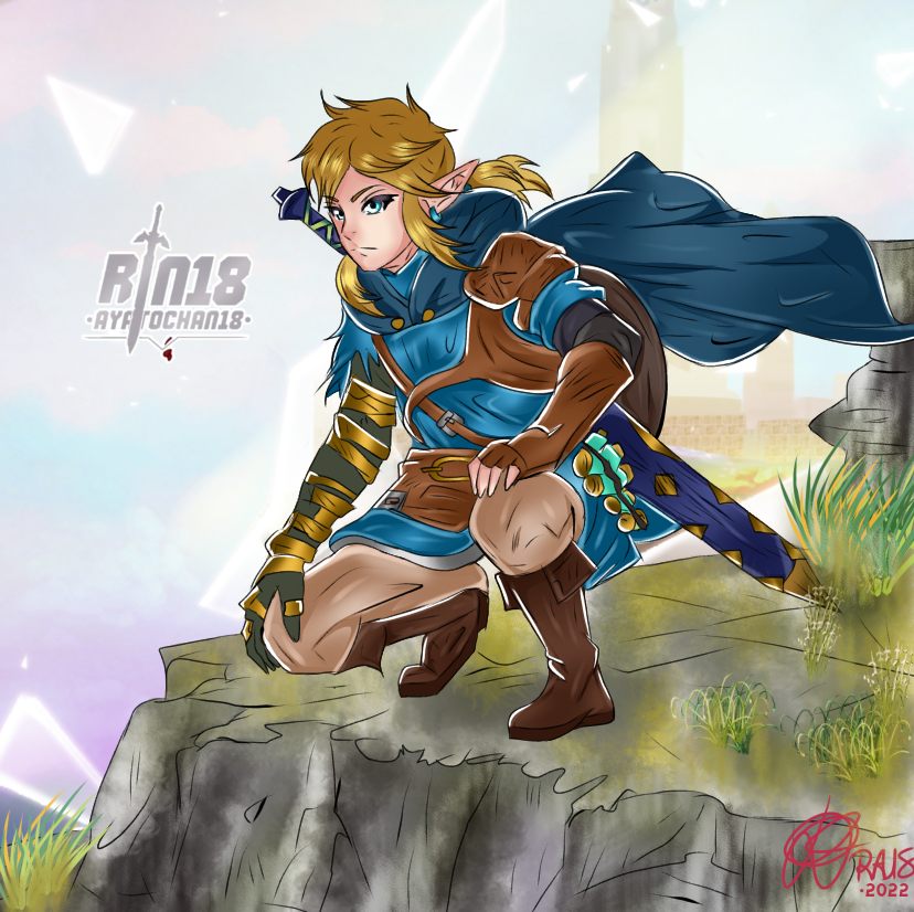 Tears of the Kingdom Link PNG by Zelda64guy1999 on DeviantArt