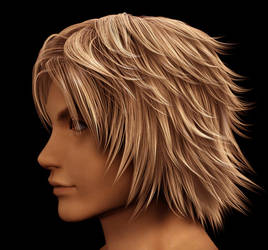 Tidus wip 3d by Chrysley