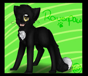 Ravenpaw.