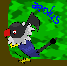 Aeolus the Chatot