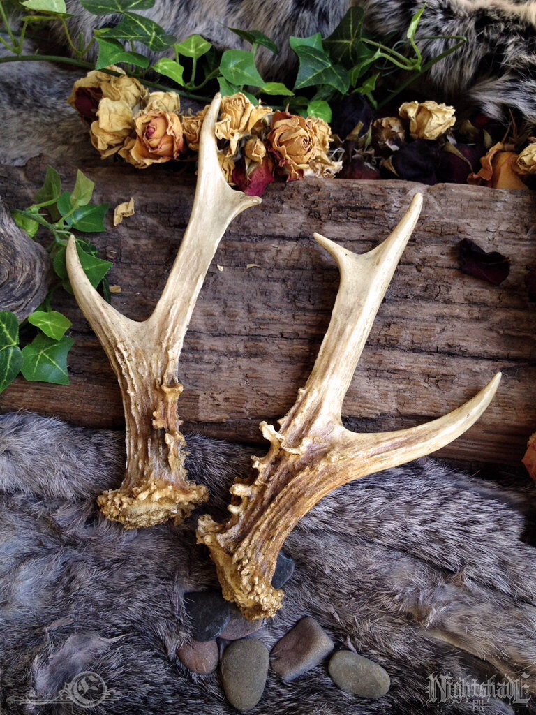 Replica Roe Deer Antlers