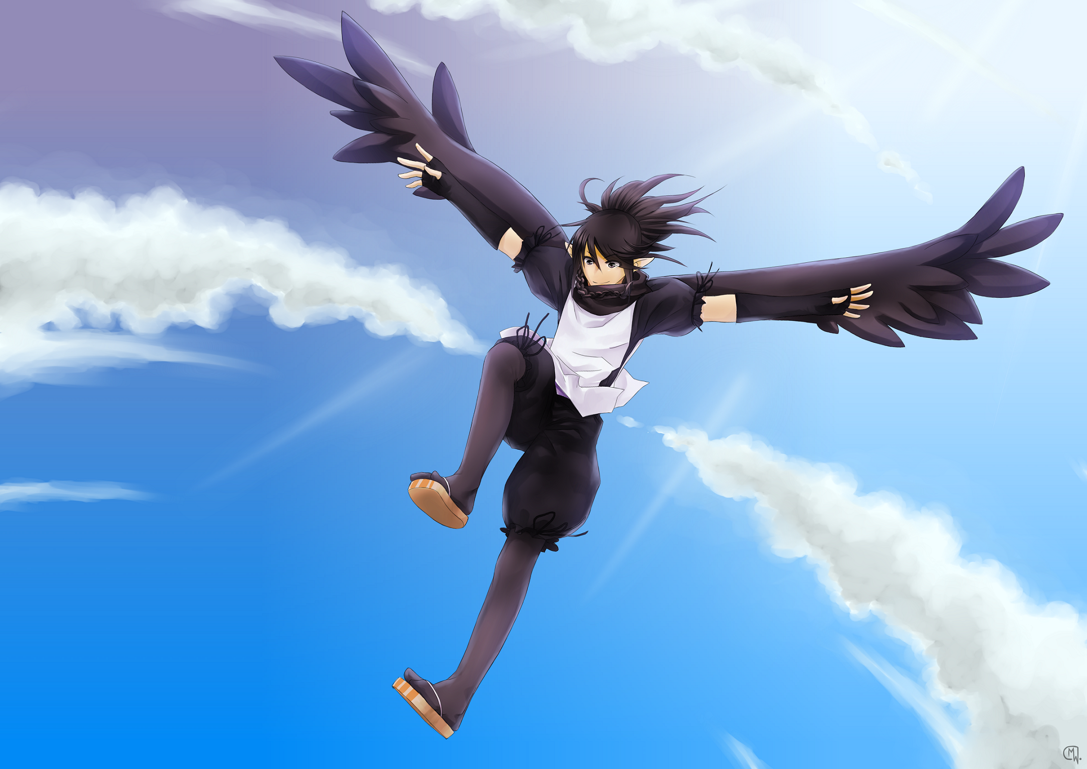 Crow's flight