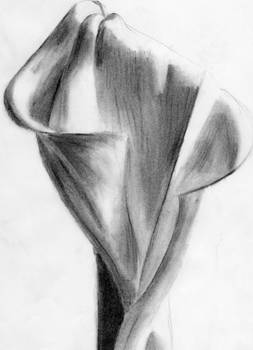 Charcoal Flower