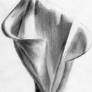 Charcoal Flower