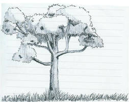 Tree in pen