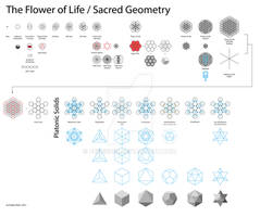 Flower of Life / Sacred Geometry