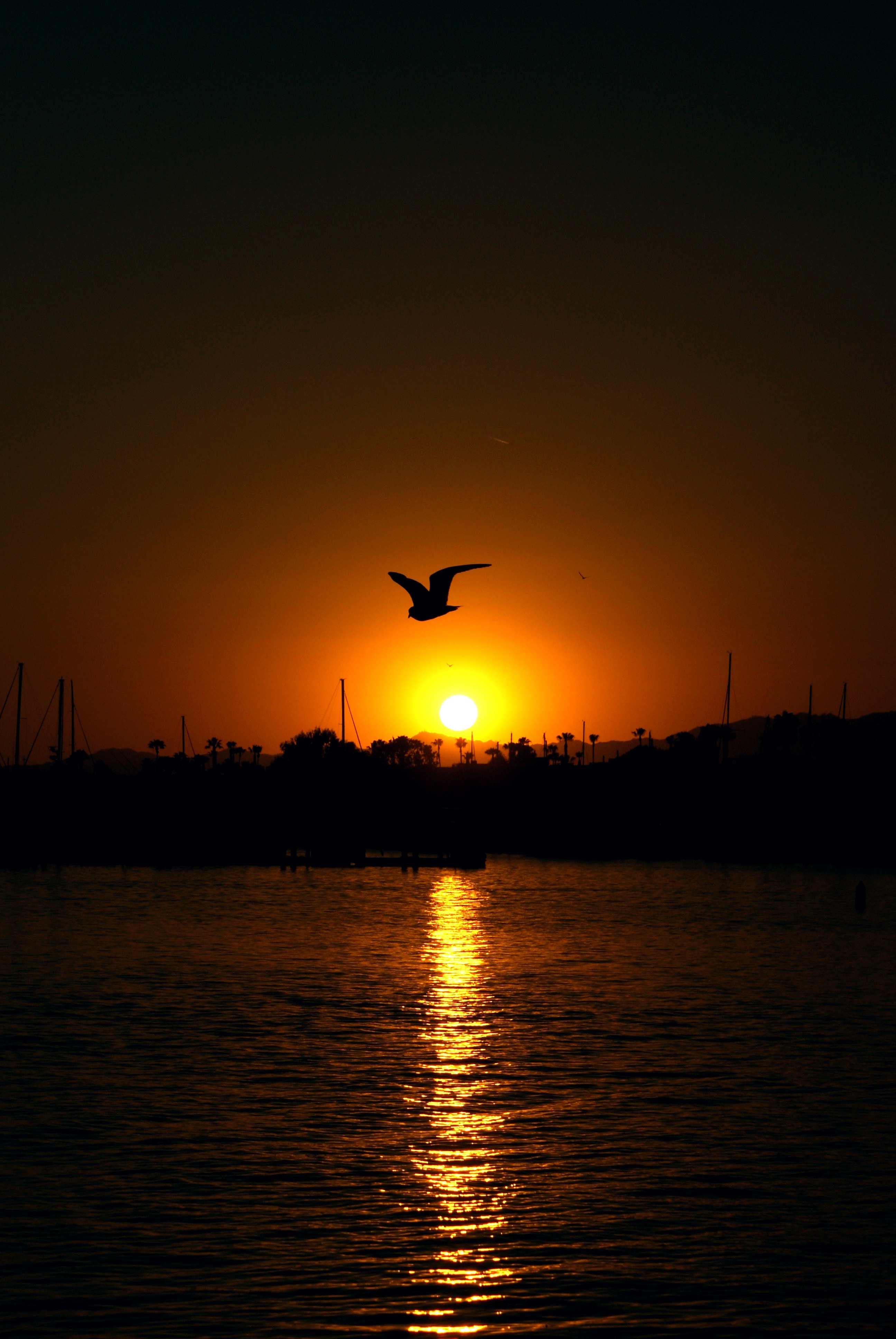 sunset2 Marina Del Rey, L A