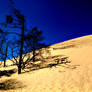 Dune du Pylat 31