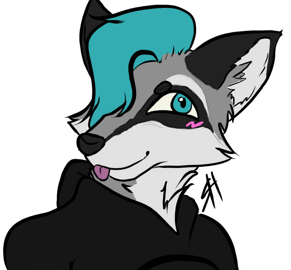 Racoon Riley Riley by etheria609 on DeviantArt