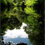 Muddy River Reflection