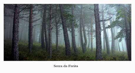 Serra da Freita