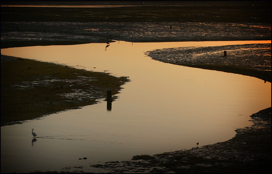 Ria Formosa