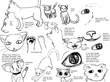 Cat Studies 1 - 1