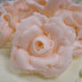 Buttercream Rose