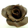 Chocolate Rose