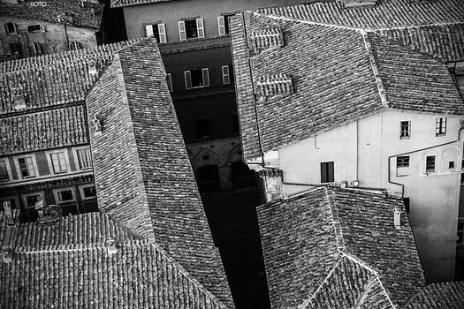 Siena Rooftops