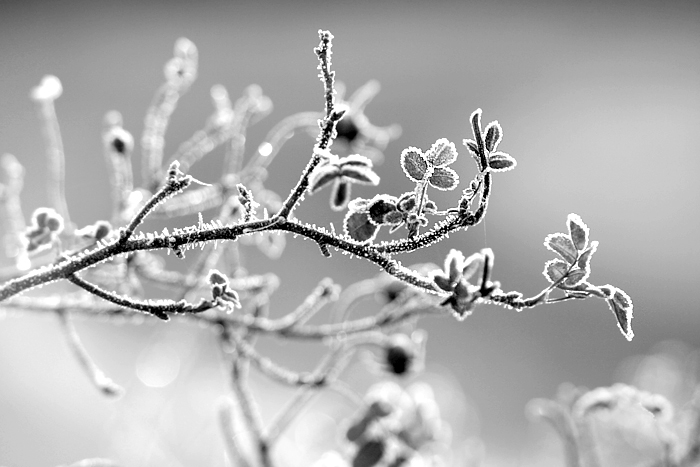 Cold winter days by Lomil-Gathiel
