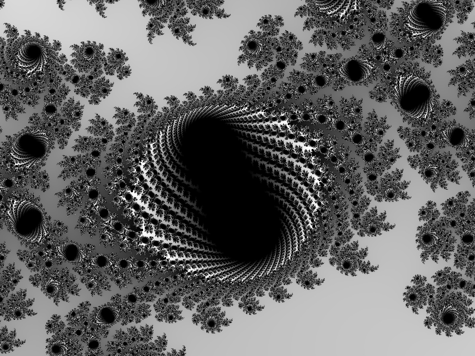 Black holes WP