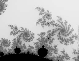 4300 Mandelbrot trees SP