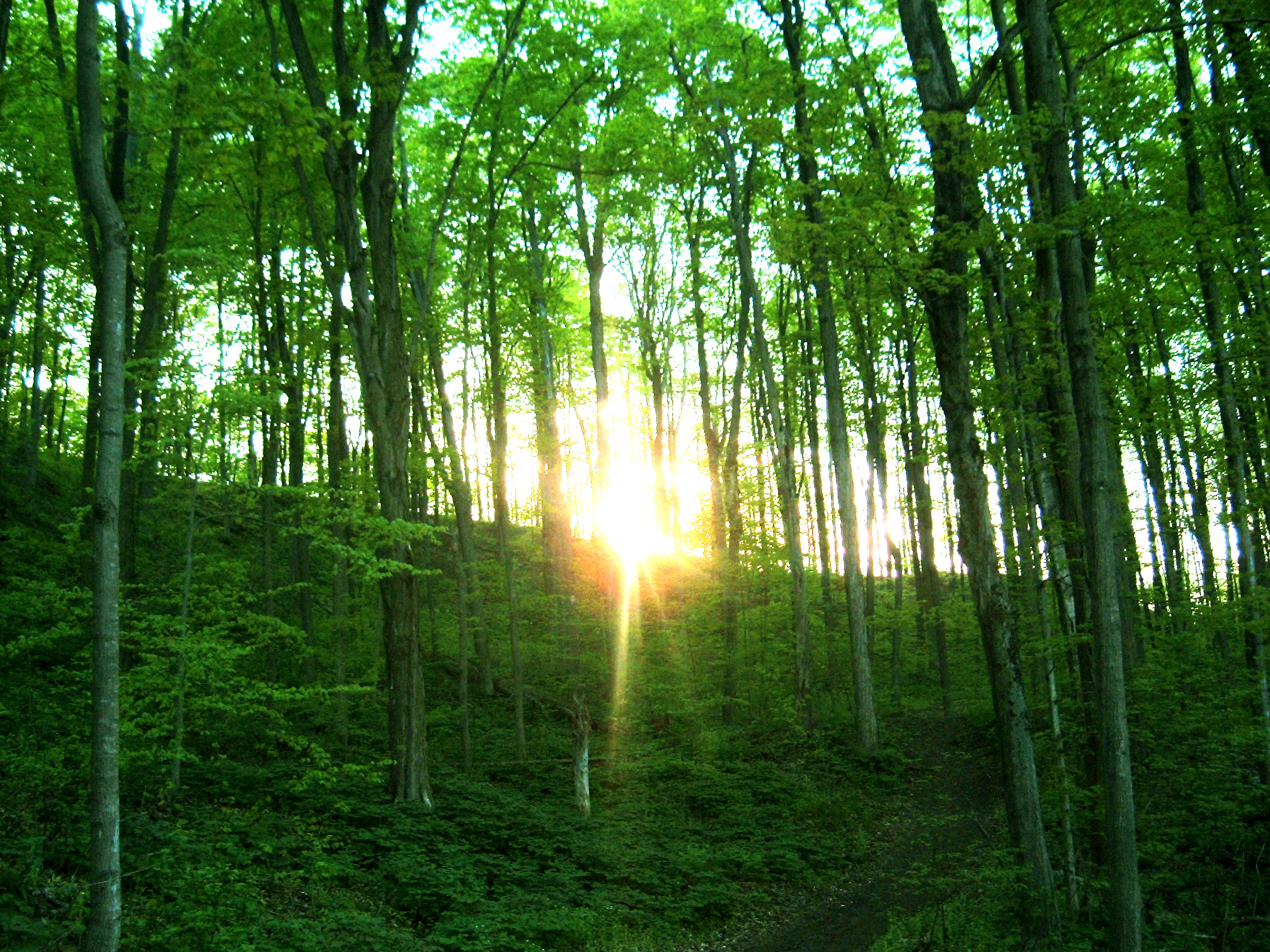 Beltane Sunset