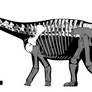 Haplocanthosaurus Part 1