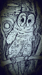 I'm Owl Alone