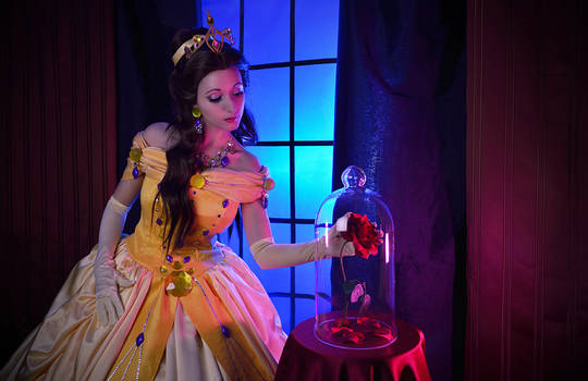 Belle - Beauty and the Beast - The Enchanted Rose