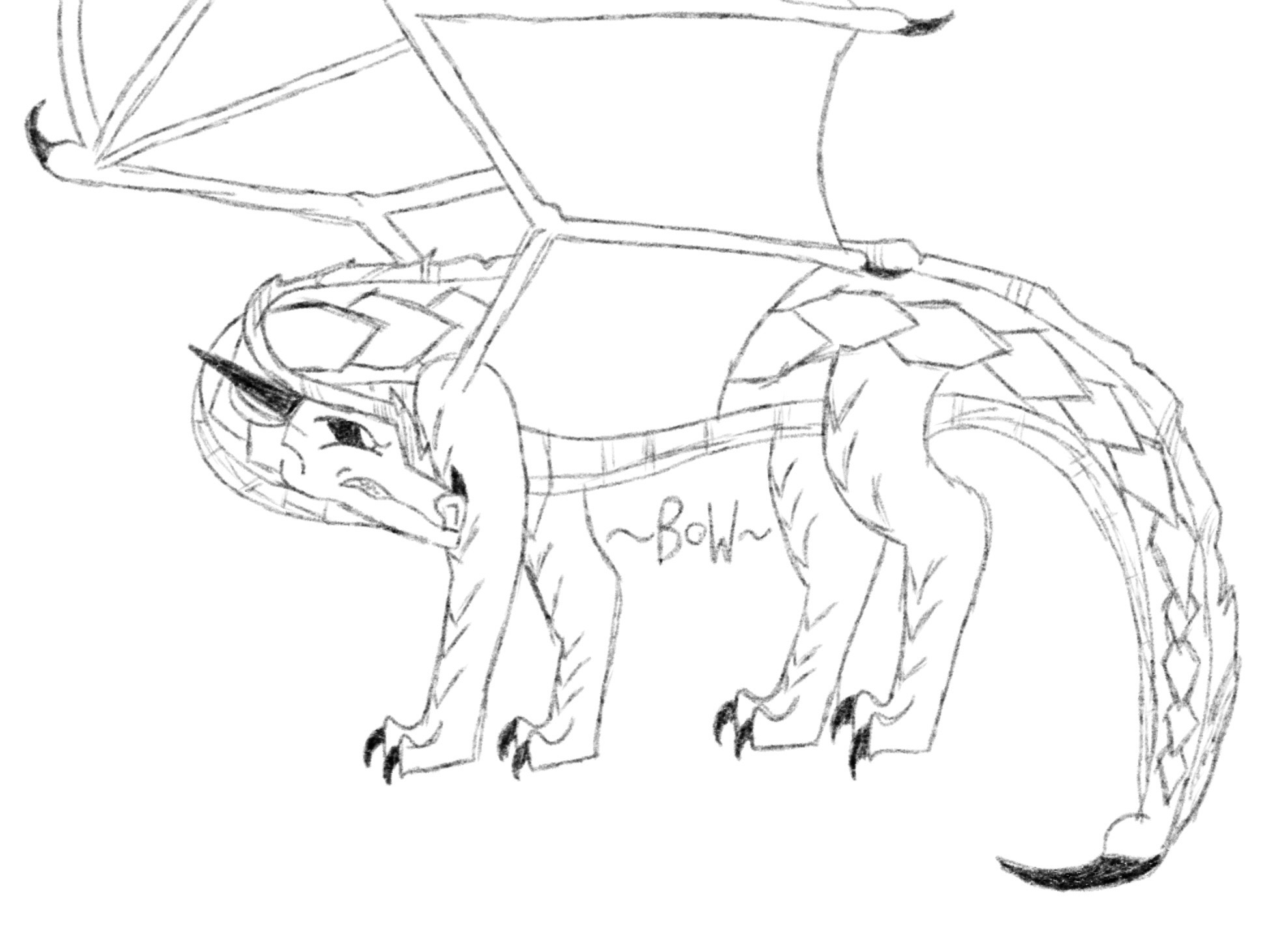 Sandwing Patterns SandWing by BirdofWar1 on DeviantArt