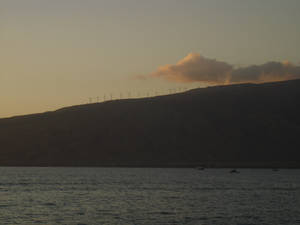 Windmills in Maui