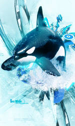 Killer Whale