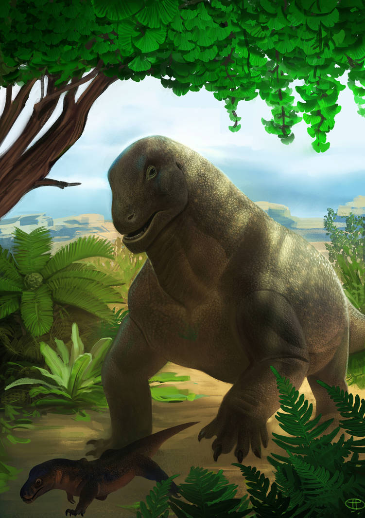 Moschops by kepyle2055 on DeviantArt