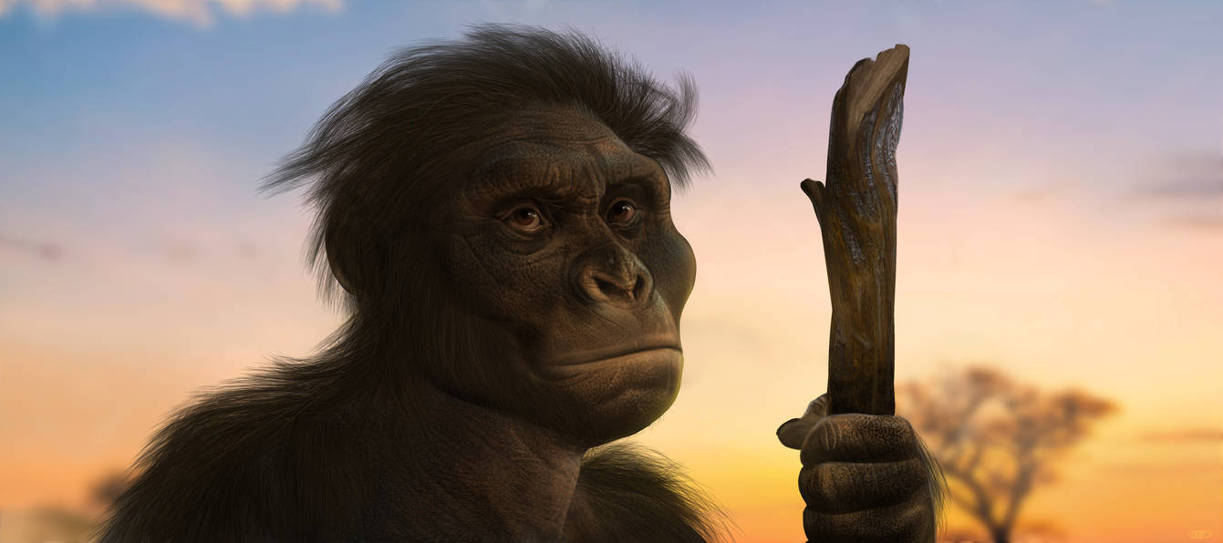 Australopithecus Images Animation Australopithecus by kepyle2055 on DeviantArt