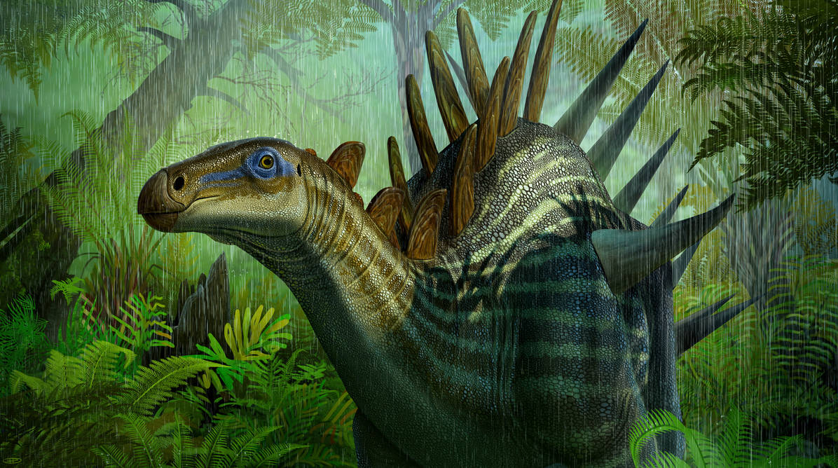 kentrosaurus by kepyle2055 on DeviantArt