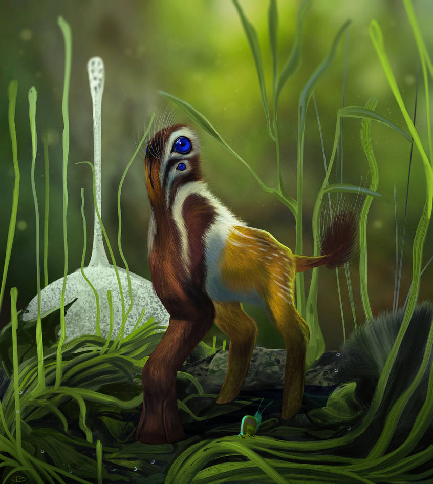 Spring Hares Pokemon Collard Spring Hare by kepyle2055 on DeviantArt