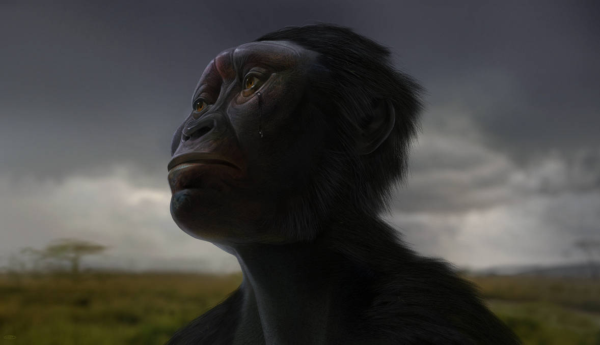 Australopithecus Images Animation Australopithecus by kepyle2055 on DeviantArt