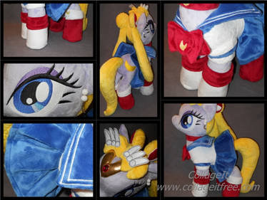 SAILOR MOON pony detailed