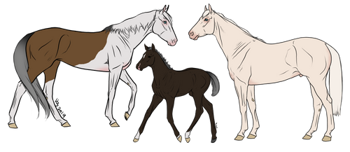 Thoroughbred Family 01 | Open by MysticOakAdopts