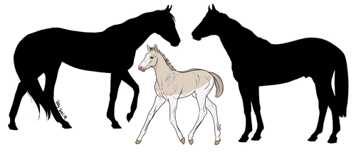 Mystery Thoroughbred Family 02 | Open by MysticOakAdopts