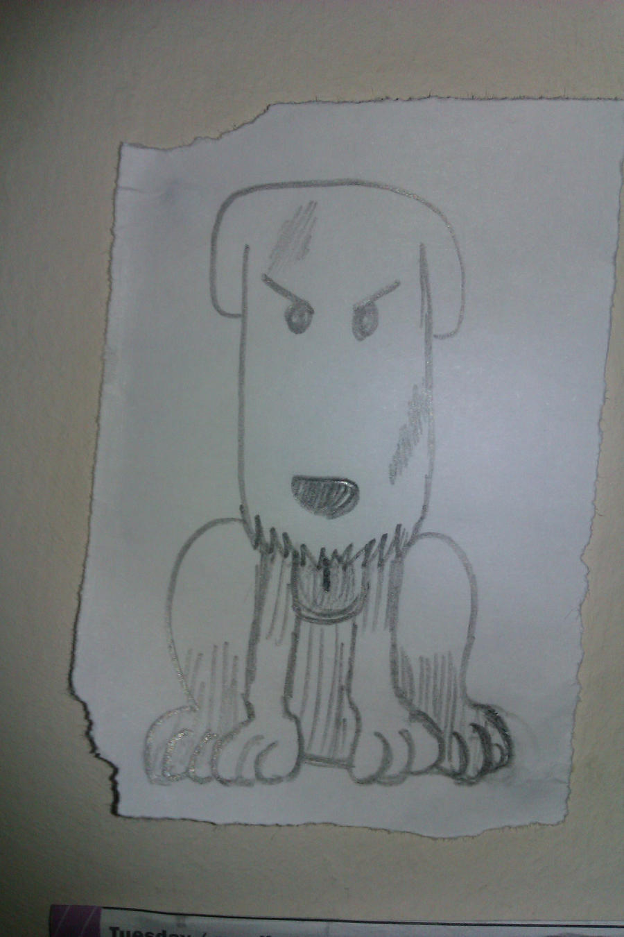 Shushu The Dog One Piece By Ssbbpitloverxxx On Deviantart Shushu The Dog One Piece By Ssbbpitloverxxx On Deviantart