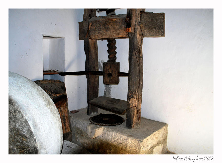 Olive oil  press