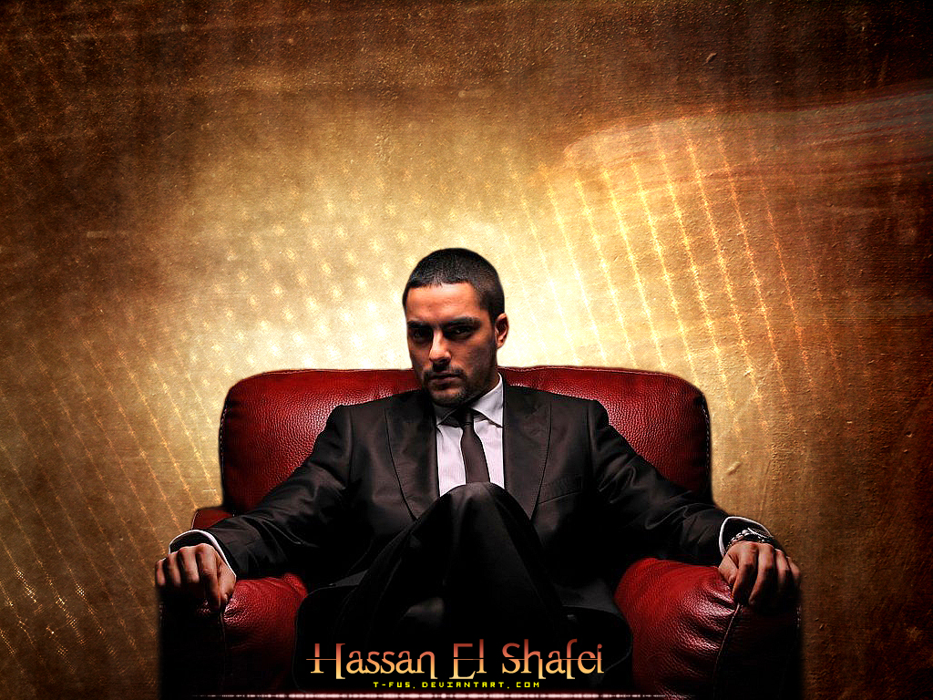 Hassan El Shafei