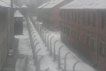 Auschwitz Stock 6