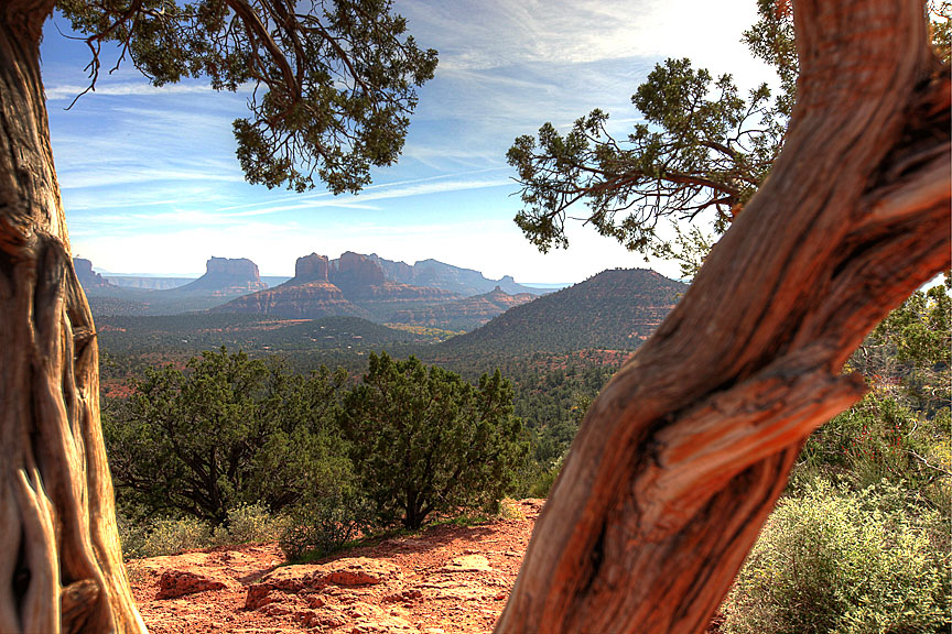 Sedona 232