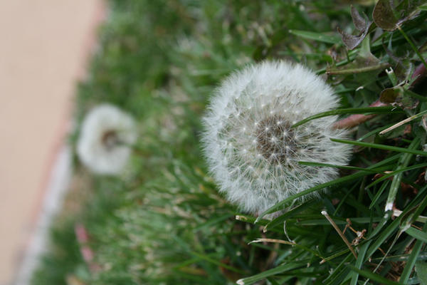 A Dandy Scene by SteelUrSelf on DeviantArt