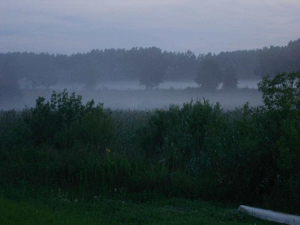 Mist by WraithGear on DeviantArt