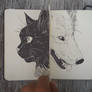Black and White